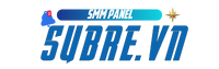 SMM Panel Pro Logo